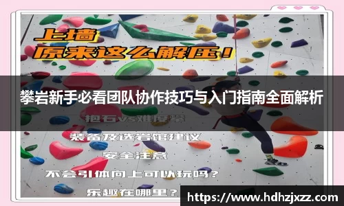 攀岩新手必看团队协作技巧与入门指南全面解析